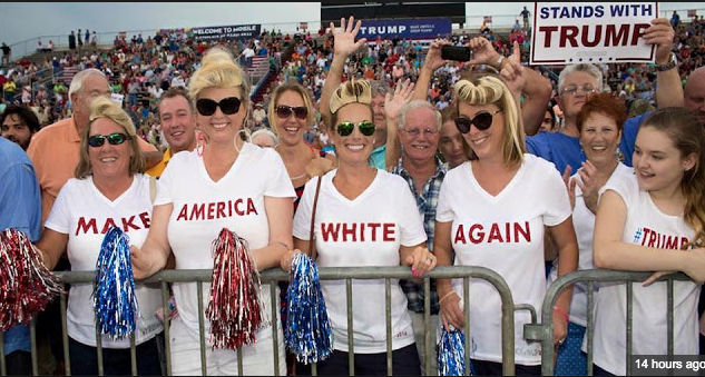 make-america-white-again