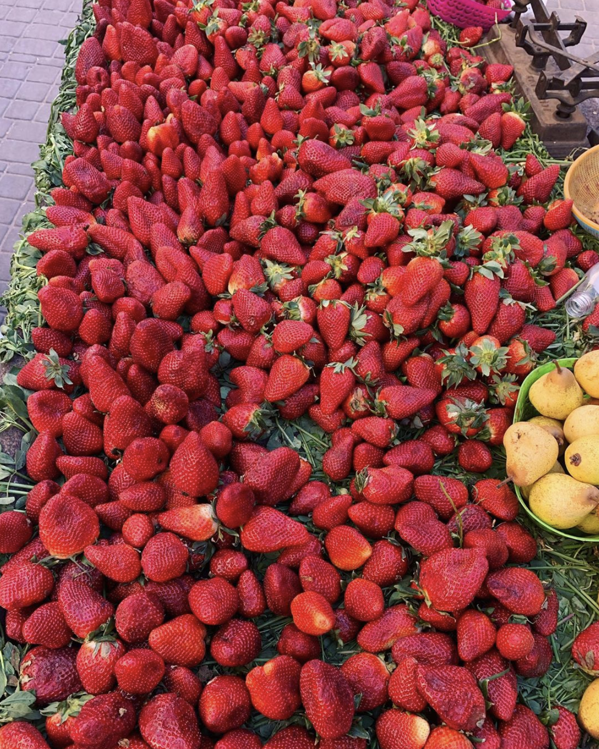 Strawberry season in Marrakech